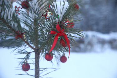 Similar image 22400052