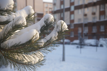 Similar image 22400068