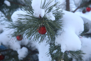 Similar image 22400073