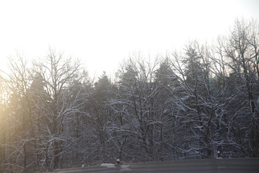 Similar image 22400075