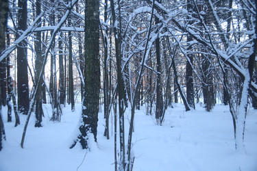 Similar image 22400076