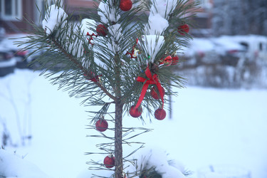 Similar image 22400082