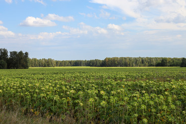 Similar image 22399649