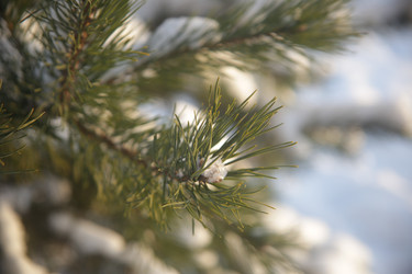 Similar image 22400094