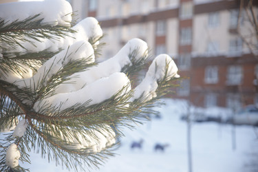 Similar image 22400095