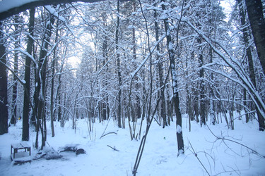 Similar image 22400097