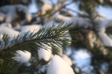 Similar image 22400098