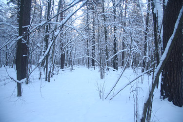 Similar image 22400099