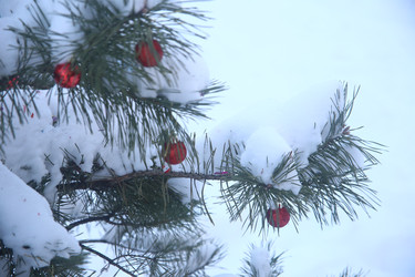 Similar image 22400105