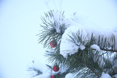 Similar image 22400107