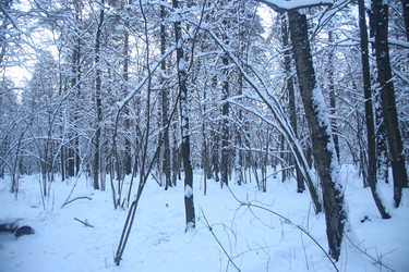 Similar image 22400109