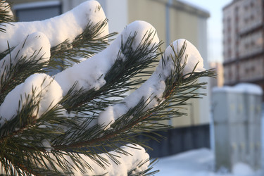 Similar image 22400110