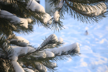 Similar image 22400113