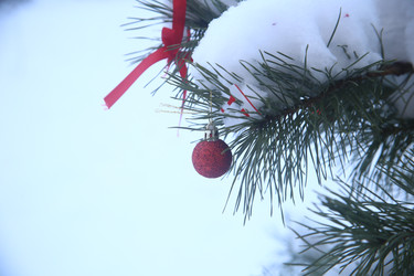 Similar image 22400116