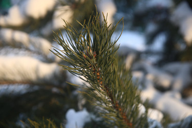 Similar image 22400117