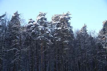 Similar image 22400118