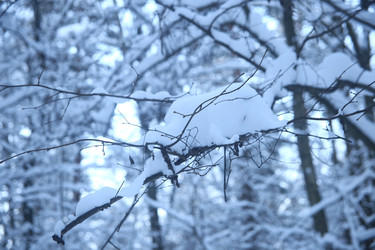 Similar image 22399954