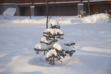 Similar image 22399955