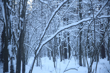 Similar image 22399967