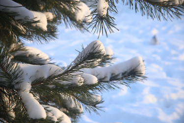 Similar image 22399969