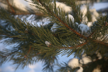 Similar image 22399971