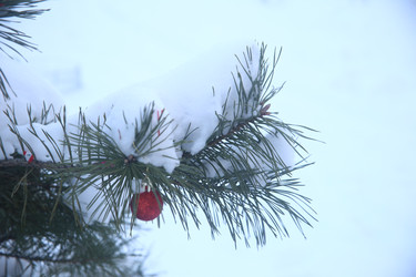 Similar image 22399976