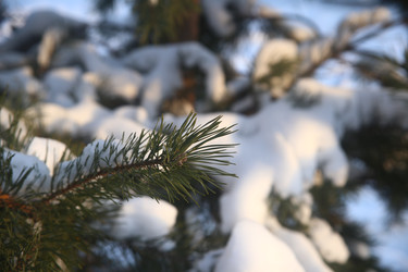 Similar image 22399977