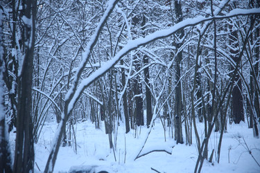 Similar image 22399986