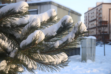 Similar image 22399988