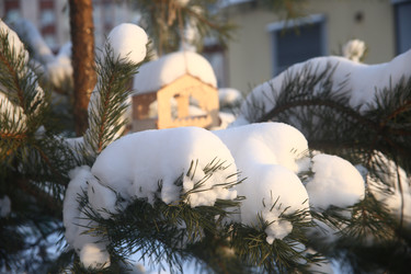 Similar image 22399996