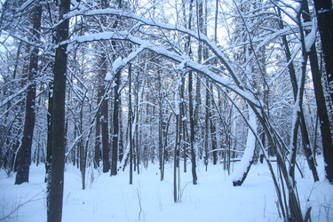 Similar image 22399999