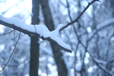 Similar image 22400001