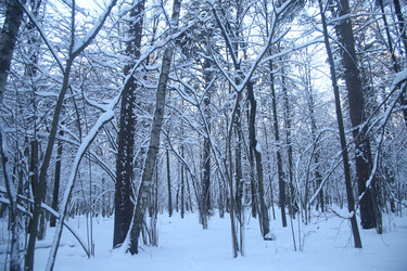 Similar image 22400002