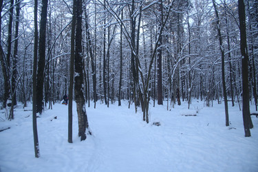 Similar image 22400006