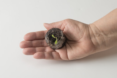 Similar image 22403542