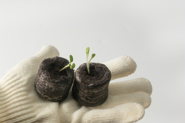 Similar image 22403544