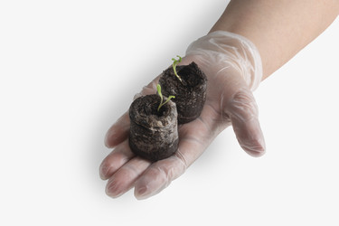 Similar image 22403545