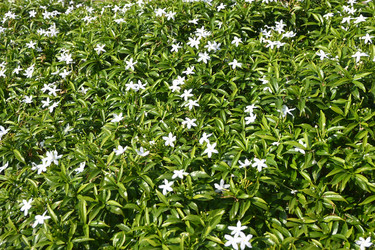 Similar image 22399618