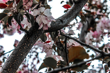 Similar image 22403223