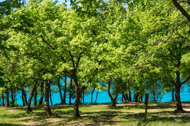 Similar image 22403914