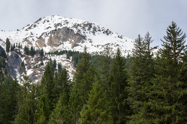 Similar image 22403933