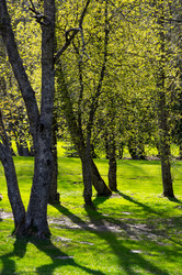 Similar image 22403948