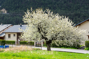 Similar image 22403951