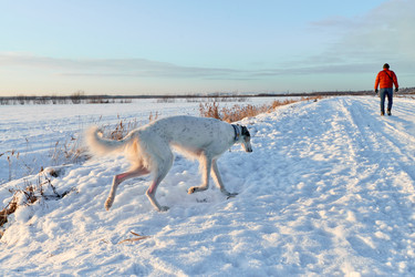 Similar image 22399632