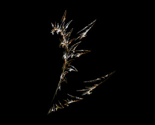 Similar image 22403511