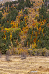 Similar image 22403870