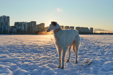 Similar image 22399634