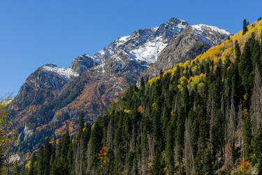 Similar image 22403885