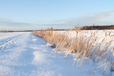 Similar image 22399635