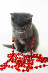 Similar image 22399936